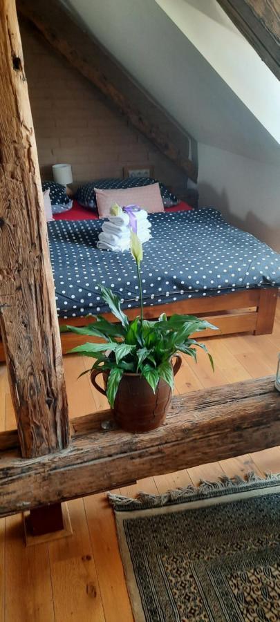 Penzion-apartmán U Johana Moravská Třebová Exterior foto